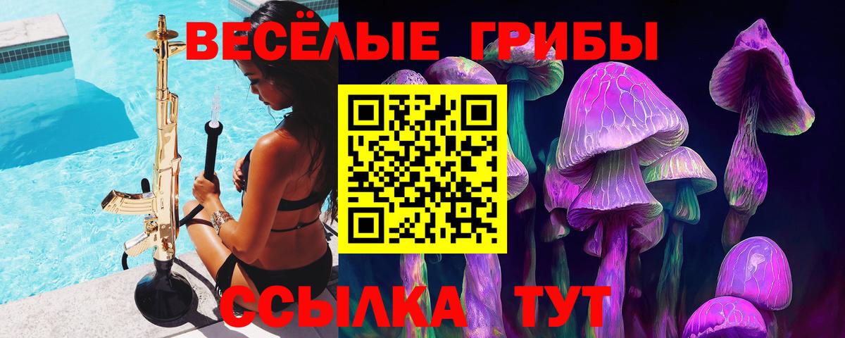 Усть-Джегута  Галлюциногенные грибы прущие грибы  Вход с VPN 